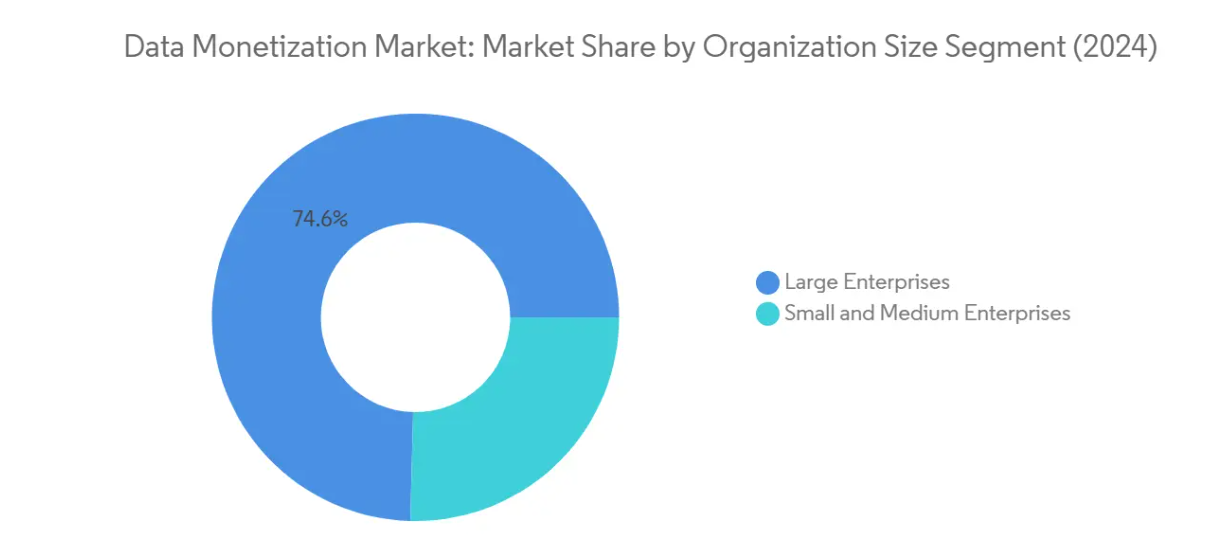 Market Analysis of Data Monetization Market: Chart for By Organization Size
